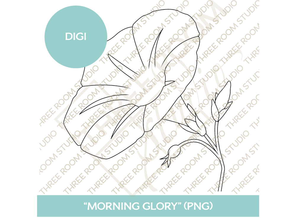 Digi - "Morning Glory"